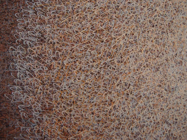 15_pb035334